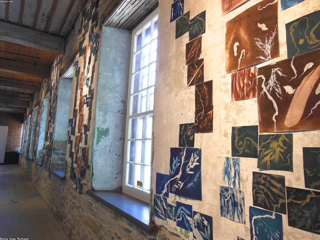 អត្ថប្រយោជន៍នៃឆ្នោតសម្រាប់ការចូលរួមសង្គម