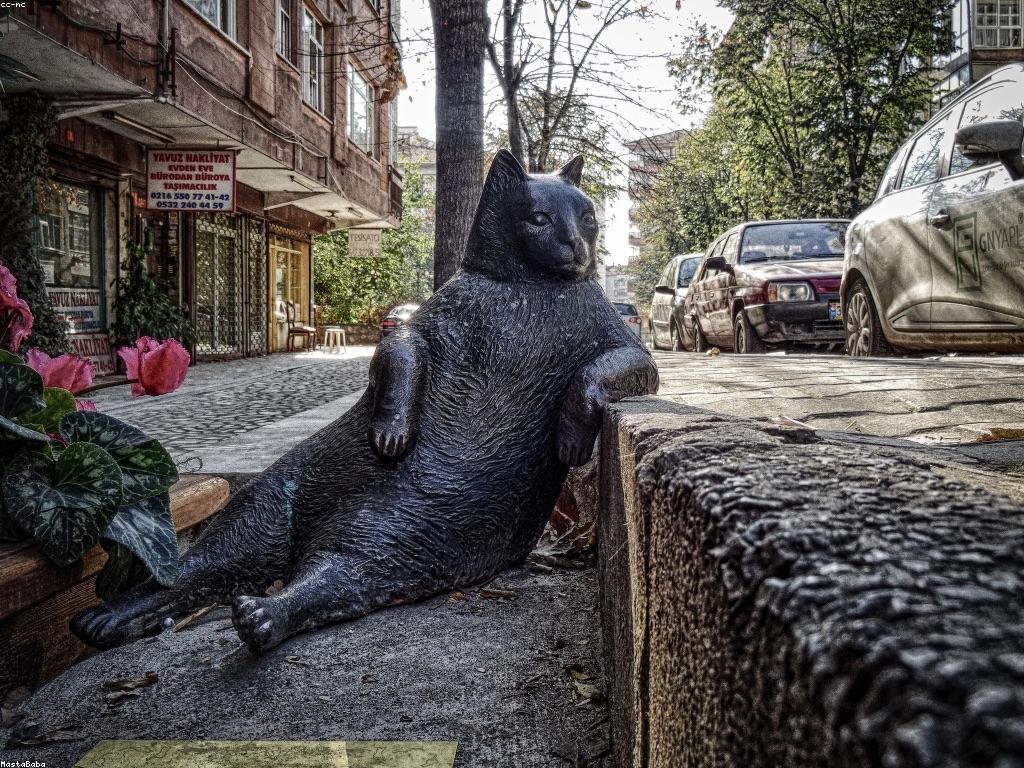 វិភាគព័ត៌មានឆ្នោតថ្មី និងអត្ថប្រយោជន៍សម្រាប់អ្នកលេង